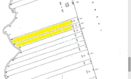 Terreno, 3235 m² - venda por r$ 8.100.000,00 ou aluguel por r$ 15.000,00/mês - vila carmosina - são paulo/sp