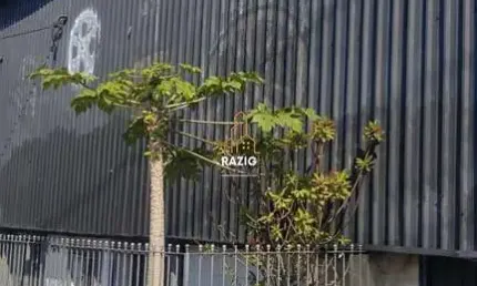Barracão / galpão / depósito à venda na avenida deputado emílio carlos, 1325, limão, são paulo por r$ 1.900.000