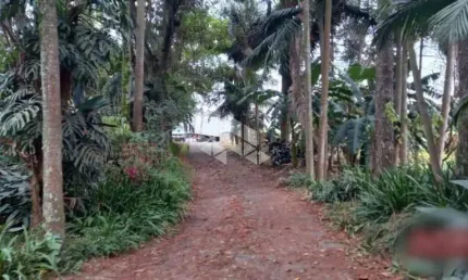 Terreno, 21 m² - venda por R$ 29.400.000,00 ou aluguel por R$ 25.000,00/mês - Parque Edu Chaves - São Paulo/SP