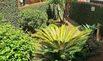 Casa com 2 quartos à venda na Rua Campinas, 408, Vila Rosália, Guarulhos