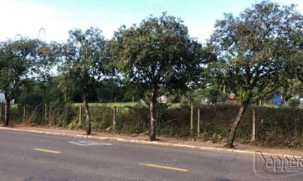 Terreno comercial à venda no Guarani, Parobé 