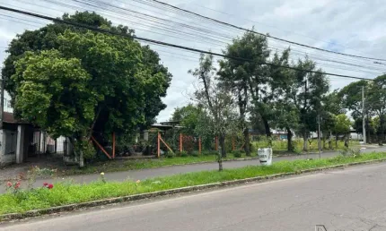 Terreno comercial à venda no Centro, Sapiranga 