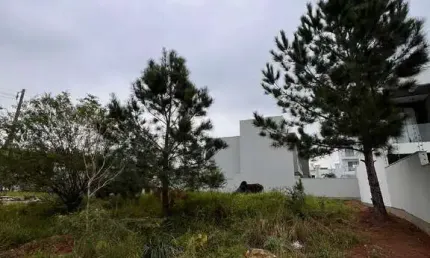 Terreno comercial à venda no São Jacó, Sapiranga 