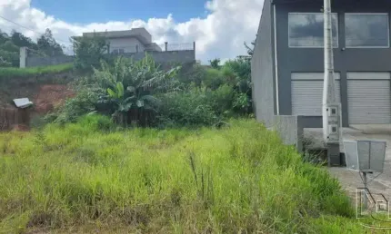 Terreno comercial à venda na Bela Vista, Estância Velha 