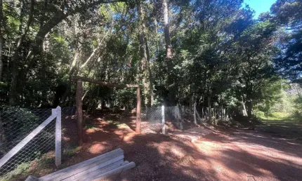 Terreno comercial à venda na Linha Gorgen, Morro Reuter 