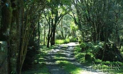 Terreno comercial à venda na Vila Suiça, Gramado 