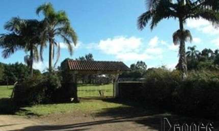 Chácara / sítio com 1 quarto à venda no Bohedere, Morro Reuter 