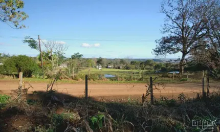 Chácara / sítio com 3 quartos à venda em Travessão, Dois Irmãos 