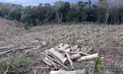 Terreno comercial à venda no Distrito Sede, Nova Hartz 