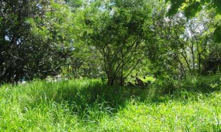Terreno comercial à venda no Quatro Colônias, Campo Bom 