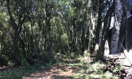 Terreno comercial à venda no Centro, Morro Reuter 