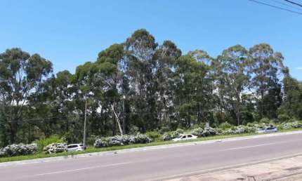 Terreno comercial à venda no Avenida Central, Gramado 