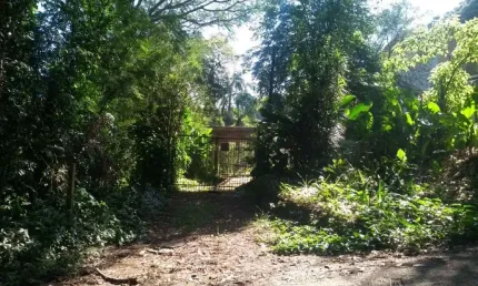 Terreno comercial à venda no Hamburgo Velho, Novo Hamburgo 