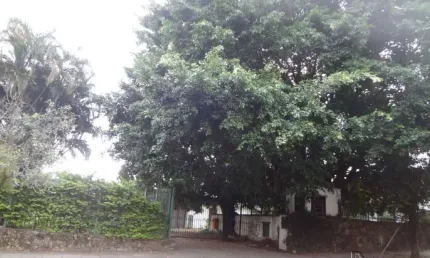 Terreno comercial à venda na Vila Rosa, Novo Hamburgo 