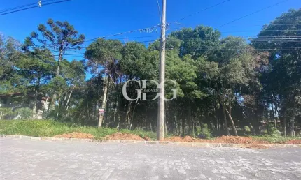 Terreno de 2152,5m² à venda no bairro nossa senhora do rosário, caxias do sul - rs.