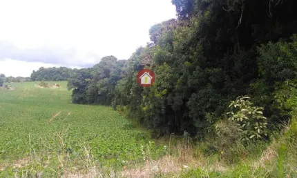 Terreno à venda na Rua Adão Fila, Lagoa Suja, Araucária