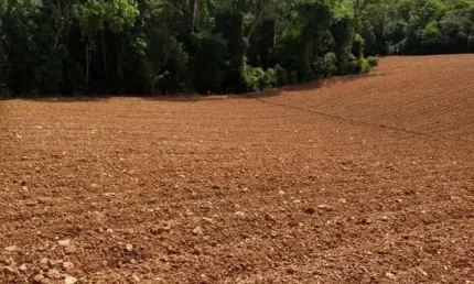 Chácara / sítio à venda na Contenta  - Rio Do Cacho - Perto Mosteito Monte Carmelo, Centro, Contenda