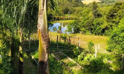 Chácara / sítio com 3 quartos à venda no Centro, Contenda 