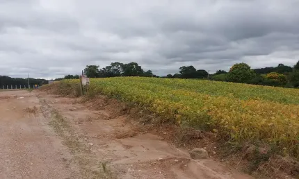 Chácara / sítio à venda no Centro, Araucária 