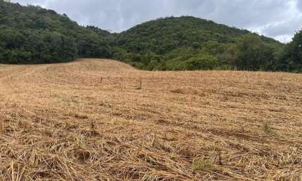 Chácara / sítio à venda no Conceição da Meia Lua, Campo Magro 