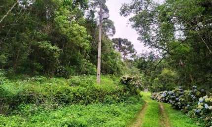 Chácara / sítio à venda no Palmitalzinho, Quatro Barras 