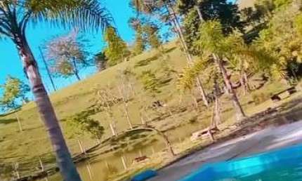 Chácara / sítio com 6 quartos à venda na Areia Branca dos Assis, Mandirituba 