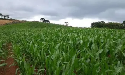 Chácara / sítio à venda no Campina de Quitandinha, Quitandinha 