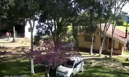 Chácara / sítio com 4 quartos à venda na Riozinho De Baixo - Rebouças, Riozinho de Baixo, Rebouças