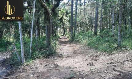 Chácara / sítio à venda na Quitandinha - Pr, Campina de Quitandinha, Quitandinha