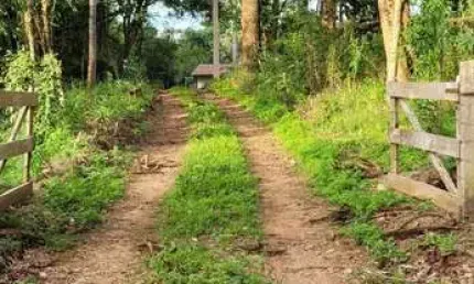 Chácara / sítio com 3 quartos à venda na Bairro Pangare, QUITANDINH, Pangaré, Quitandinha