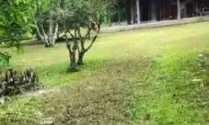 80.000m2. /RIO FUNDOS / EUFRAZINA.PGUA /IDEAL INVESTIDOR