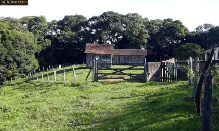 Chácara / sítio com 2 quartos à venda na Bugre  Balsa Nova  Pr, Bugre, Balsa Nova