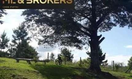 74.000 M2 / RIACHO PASSA PROPRIEDADE /15 KM CONTENDA / IDEAL INVESTIDOR