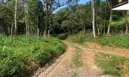 100.000M2/MARGENS PR410 EST GRACIOSA/PLANTAÇÃO PUPUNHA PRODUZINDO