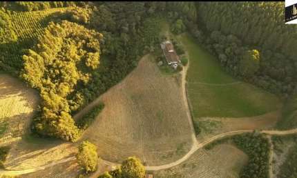 42.350 M2/ÁREA PLANTIO / MINA ÁGUA /IDEAL INVESTIDORES