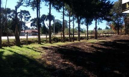 24.626M2/FRENTE PR 419 MANDIRITUBA/ÓTIMA LOCALIZAÇÃO
