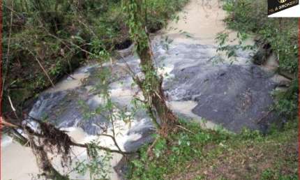 Chácara / sítio com 2 quartos à venda na Estrada Municipal, Rio da Areia, Lapa