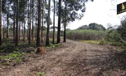 84.000 M2/ ÁREA INDUSTRIAL/ 200 MTS PR 510/IDEAL INVESTIDOR