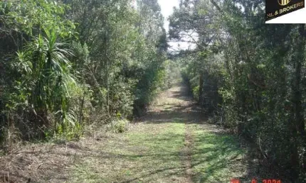 84.000 M2/ ÁREA INDUSTRIAL/ 200 MTS PR 510/IDEAL INVESTIDOR