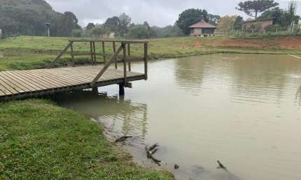 Chácara / sítio com 3 quartos à venda na Zona Rural, Mandirituba 