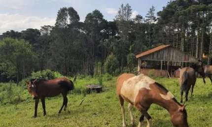 16.200M2/MINI HARAS 8 BAIAS/3 LAGOS/IDEAL INVESTIDOR