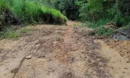 24.000M2/COM PLANTAÇÃO EUCALIPTOS/OTIMA LOCALIZAÇÃO