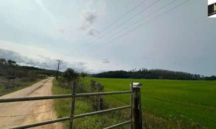 Chácara / sítio à venda na Zona Rural, Guaramirim 