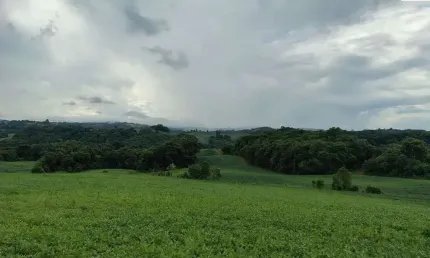 Chácara / sítio à venda no Barreiro, Campo Magro 