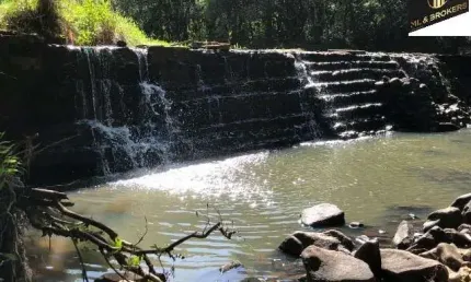 Sítio / Chácara para Venda no bairro ZONA RURAL em Santo Antônio da Platina