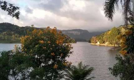 Chácara / sítio com 4 quartos à venda em Cedro Alto, Rio dos Cedros 