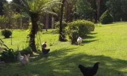 Chácara / sítio com 2 quartos à venda na Zona Rural, Tijucas do Sul 