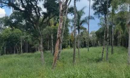 Sítio / Chácara para Venda no bairro Zona Rural em Imbituva