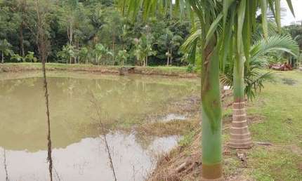34.936M2/TERRENO PLANO/22 KM ATE MATINHO/CAIOBA/700 M CACHOEIRA QUINTILHA