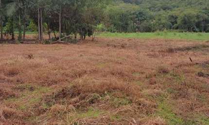 54.000M2/PERTO CACHOEIRA QUINTILHA/15 KM DE PARANAGUÁ/21 KM MATINHOS